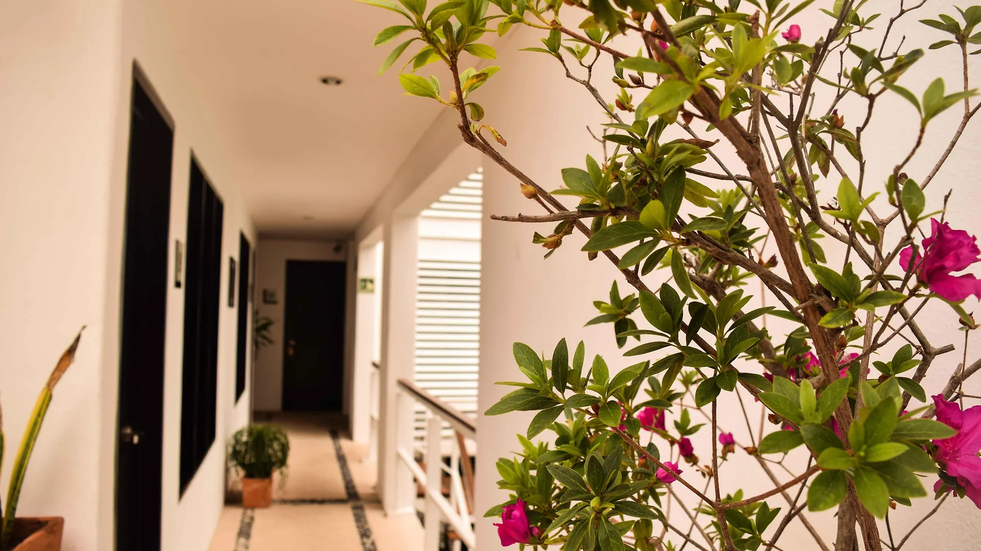 Casa Ticul Hotel Boutique - 5Th Ave (Adults Only) Playa del Carmen